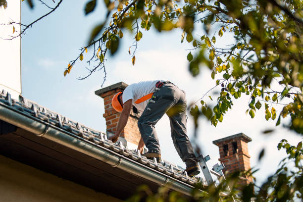 Best Roof Gutter Cleaning  in Kodi, AK